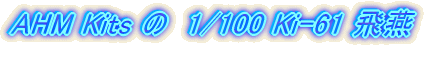 AHM Kits 1/100�@��