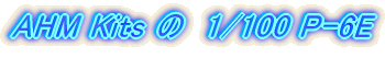 AHM Kits 1/100�@�J�[�`�X�@P-6FE
