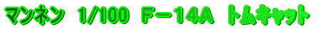 マンネン 1/100 F−14A トムキャット