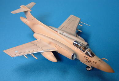 �^�~���̃o�b�J�j�A�@�����h��