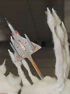 �É���ް����W���̃^�~���@�~���[�W��